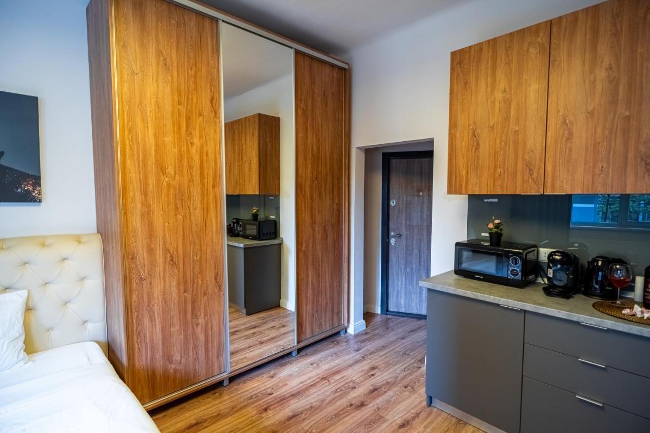 Cozy Apartments Near Calea Victoriei Букурещ Екстериор снимка